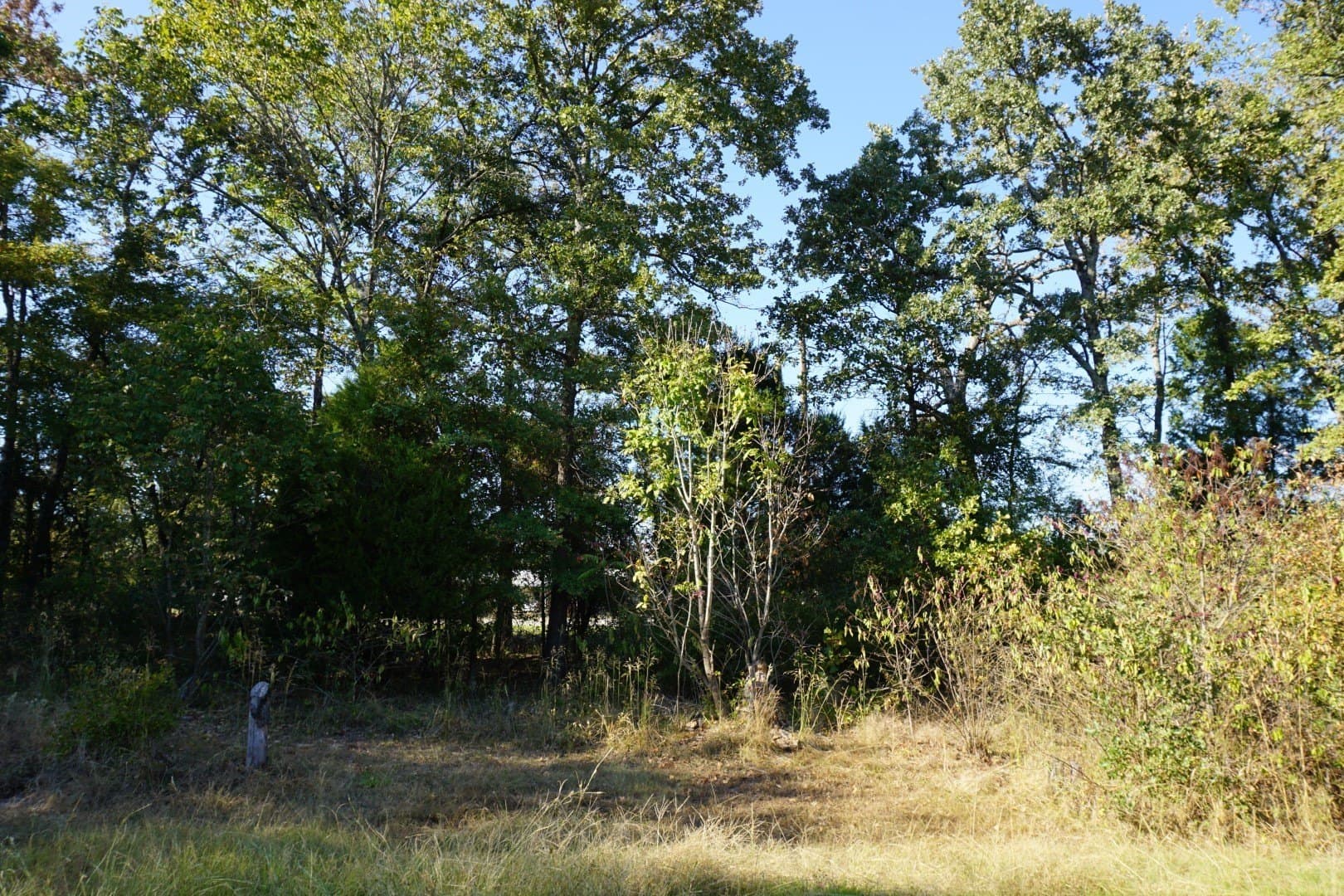 0.25 acres in Henderson County - photo 12