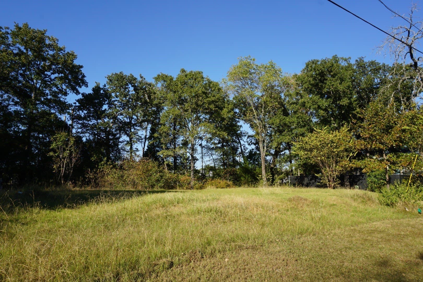 0.25 acres in Henderson County - photo 7