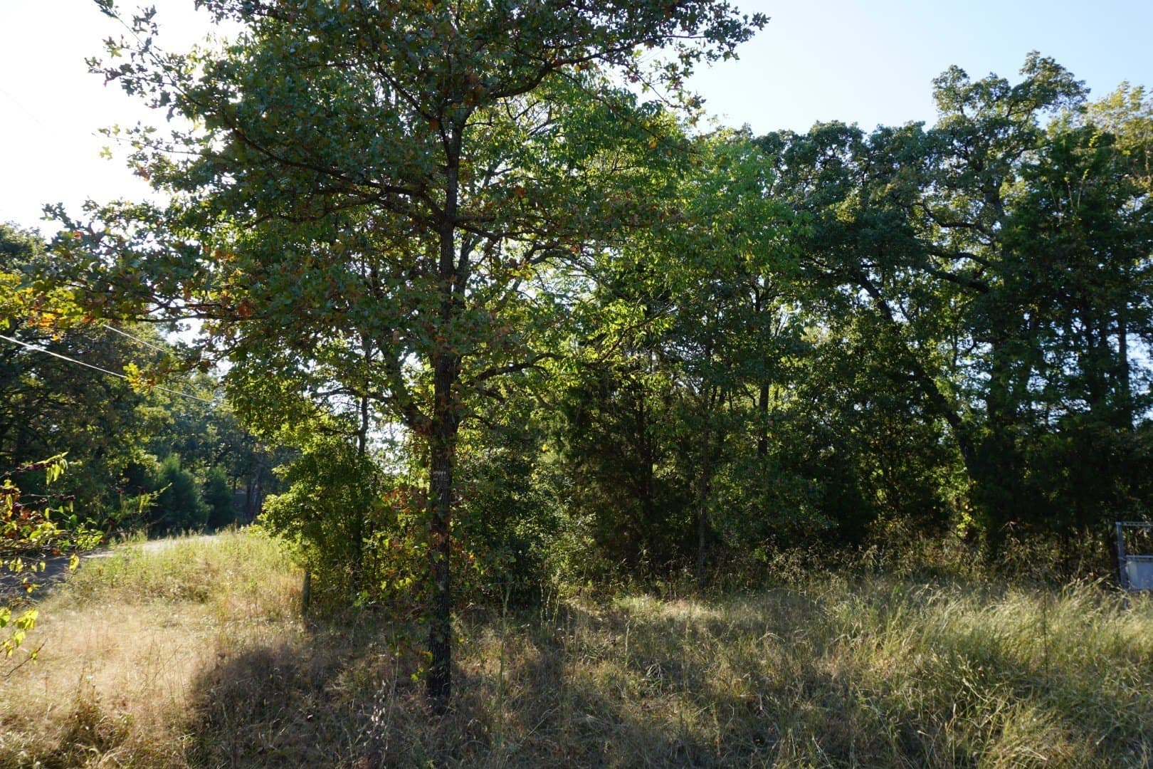 0.25 acres in Henderson County - photo 17