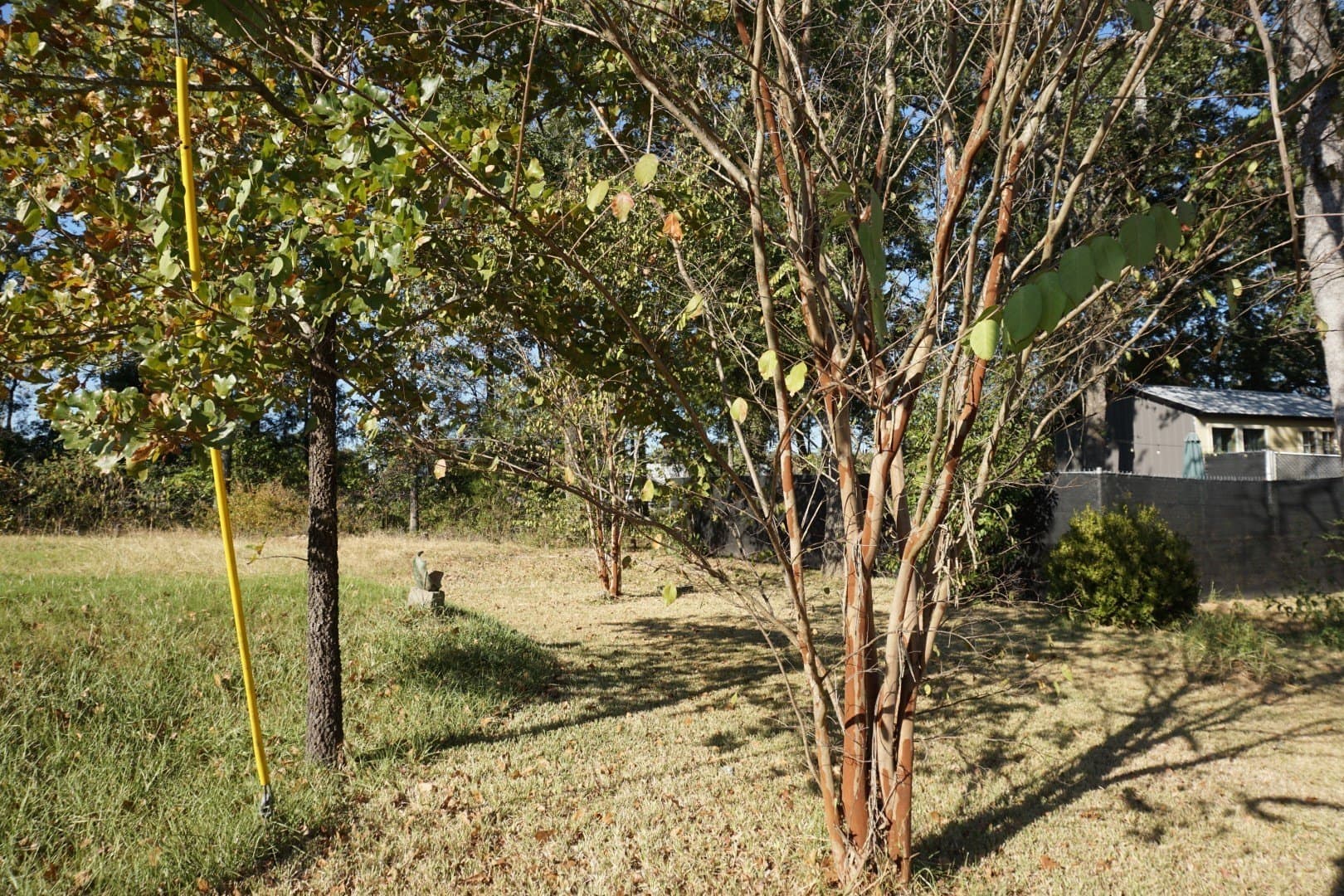 0.25 acres in Henderson County - photo 9