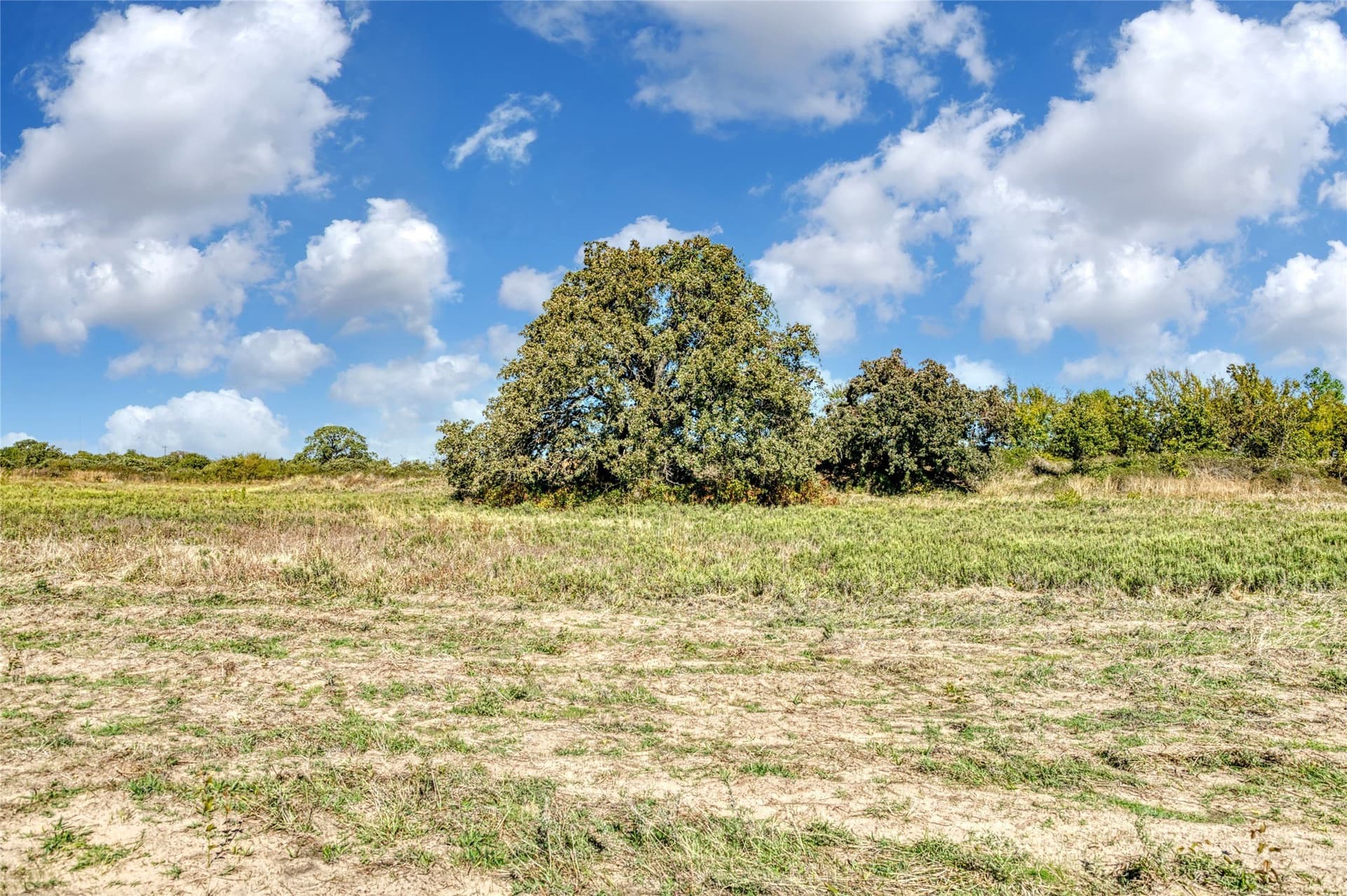 2 acres in Jack County - photo 9