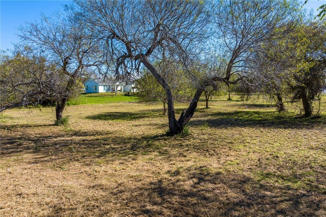 0.96 acres in San Patricio County - photo 14
