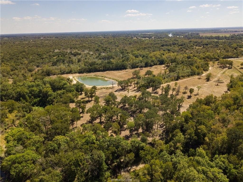 29.88 acres in Brazos County gallery image 3