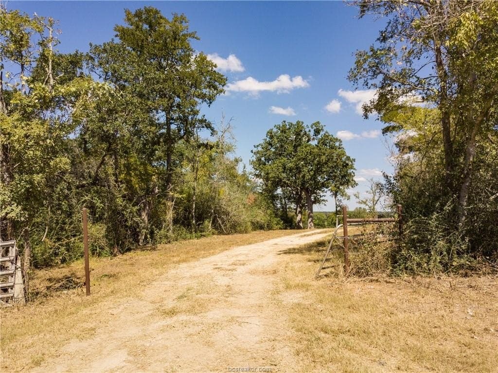 29.88 acres in Brazos County gallery image 4
