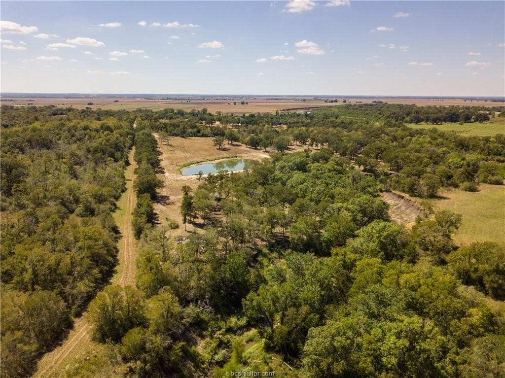 29.88 acres in Brazos County gallery image 2