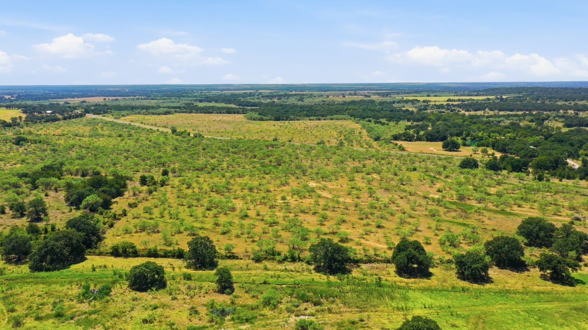 10.03 acres in Eastland County - photo 4