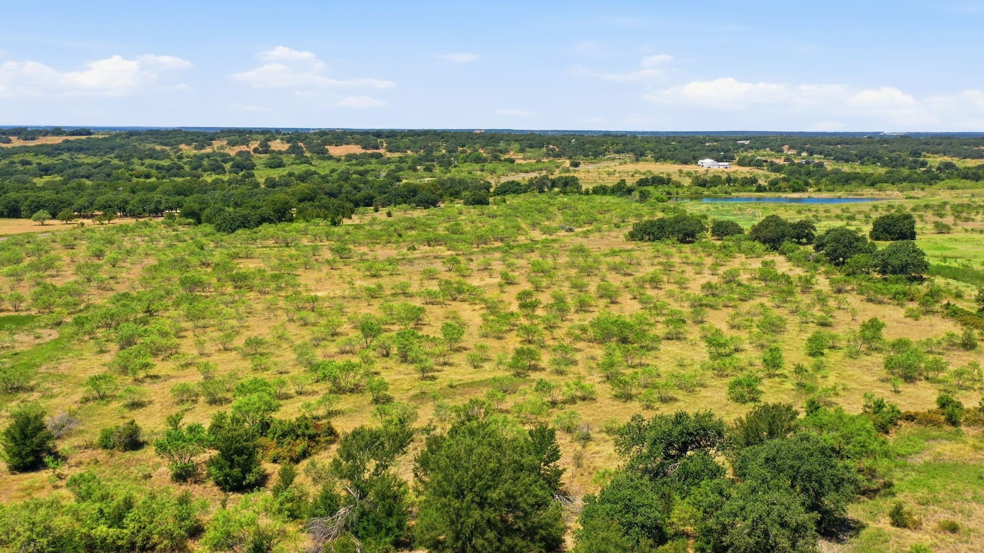 10.03 acres in Eastland County - photo 3