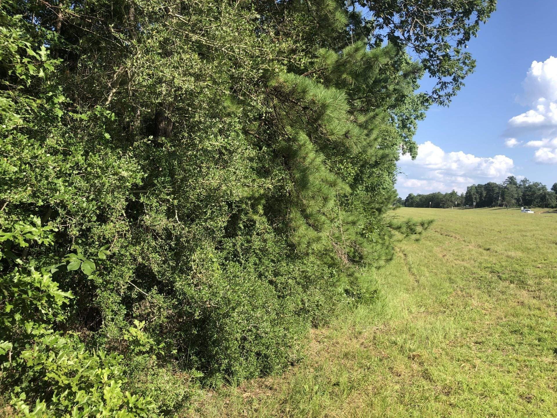 2.1 acres in Texas County featured view