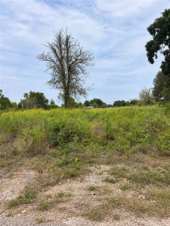 1.5 acres in Burleson County - photo 2