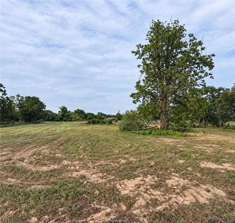 1.5 acres in Burleson County - photo 4