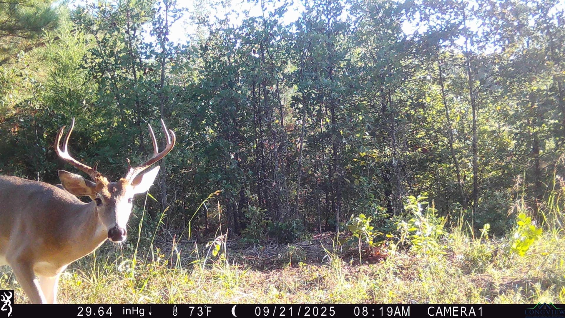 105.48 acres in Harrison County