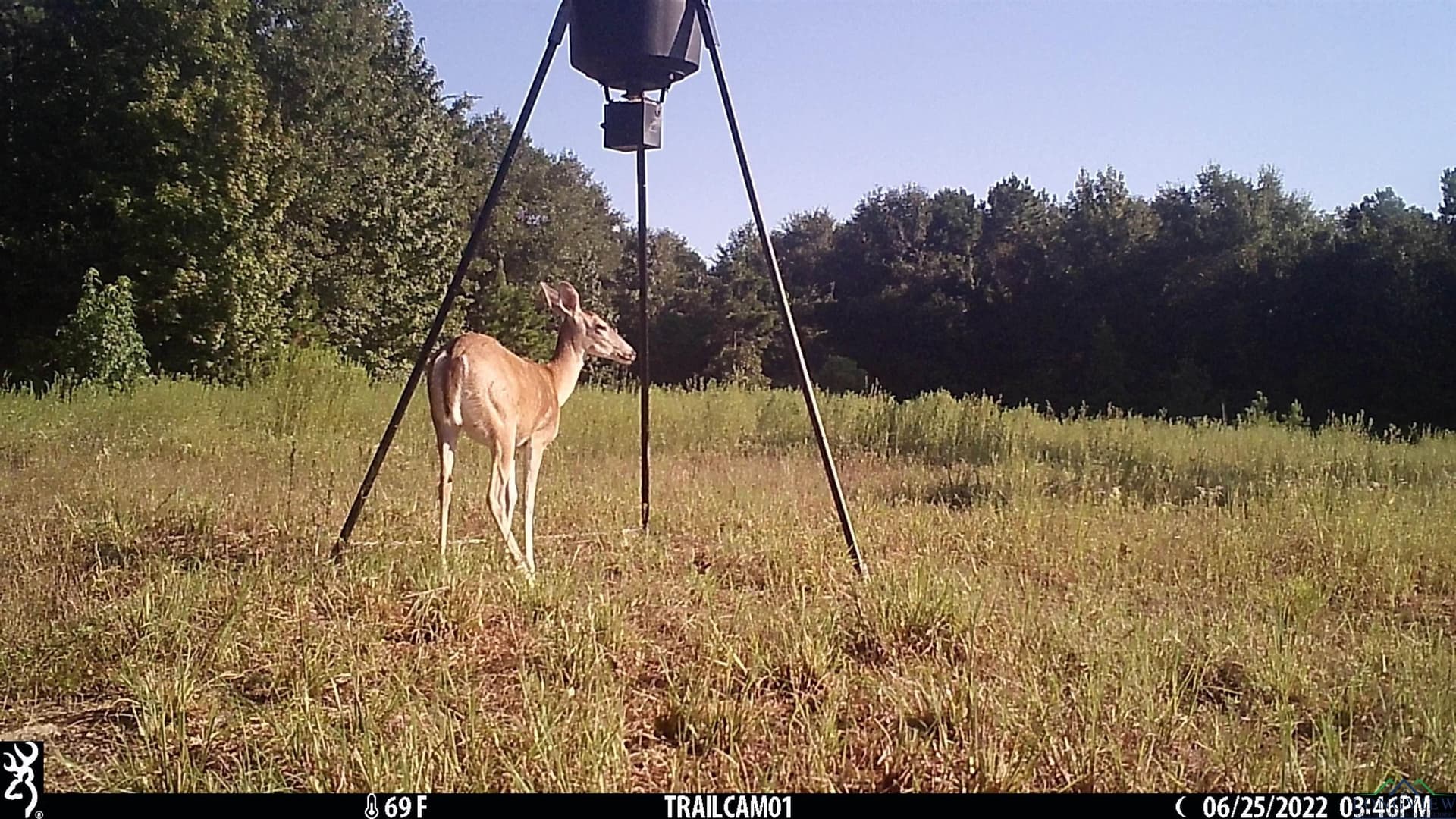 105.48 acres in Harrison County gallery image 2