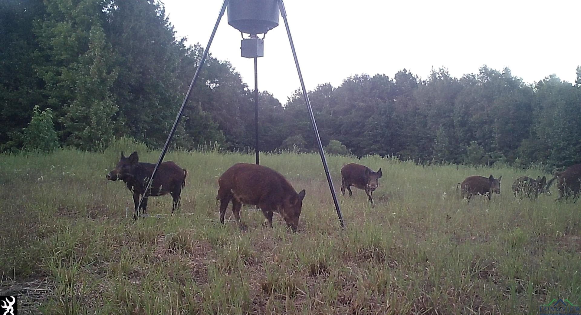 105.48 acres in Harrison County gallery image 3