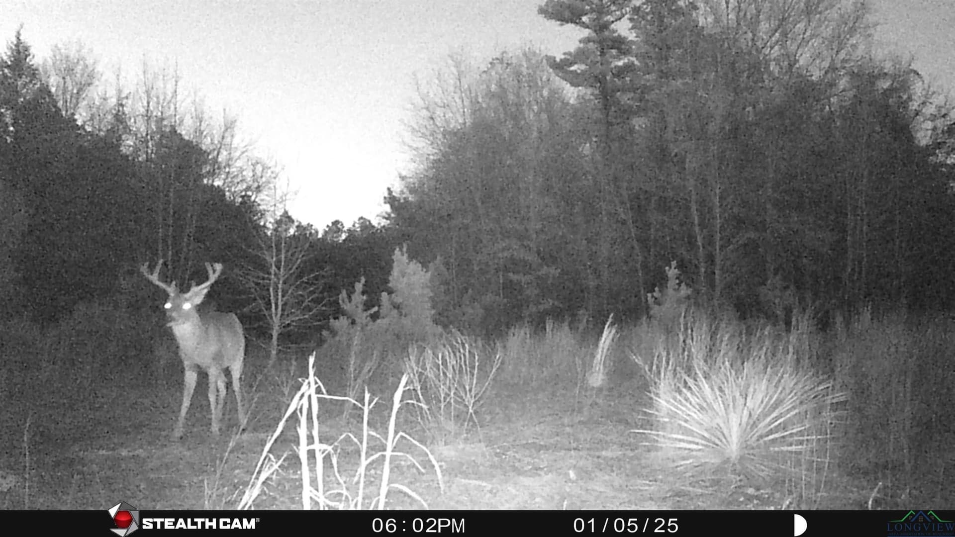 105.48 acres in Harrison County gallery image 4