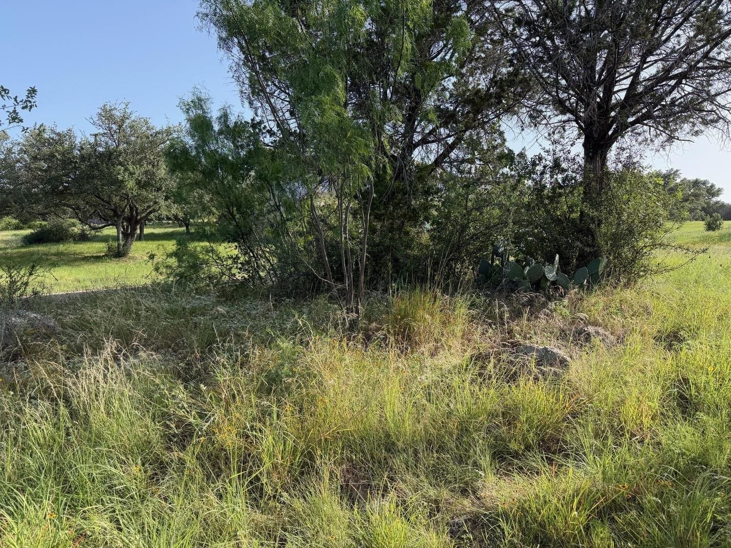 0.28 acres in Llano County gallery image 3