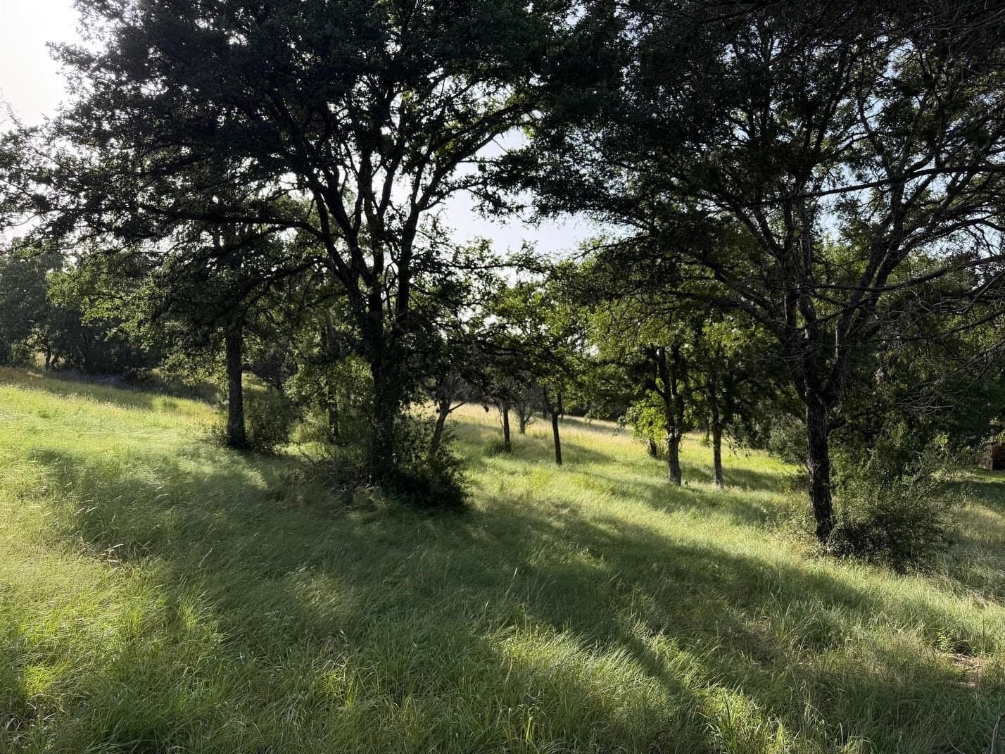 0.28 acres in Llano County gallery image 4