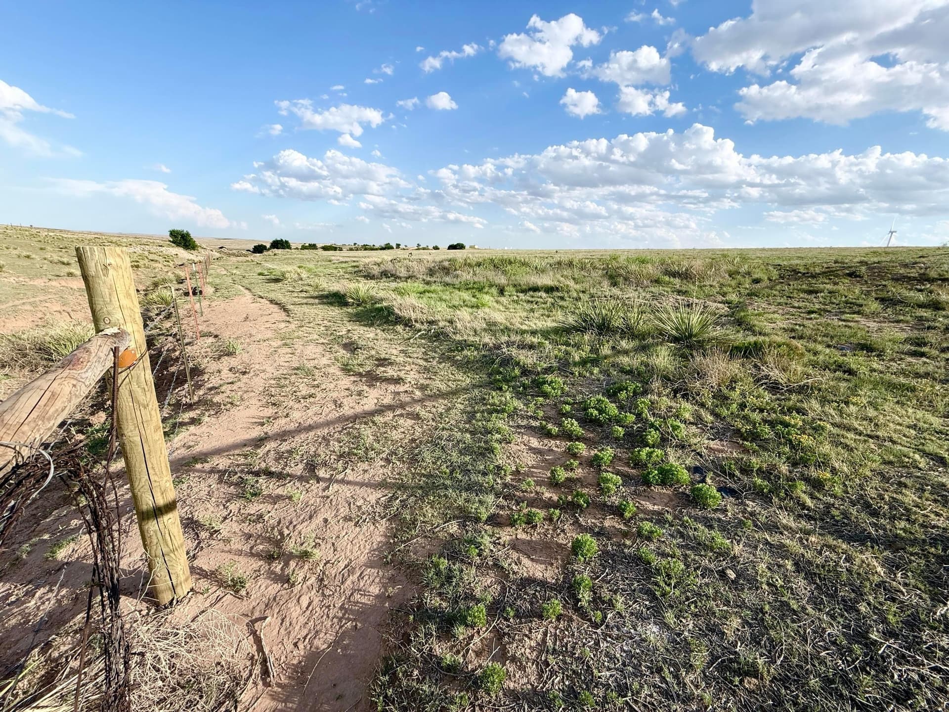 15.41 acres in Moore County gallery image 3