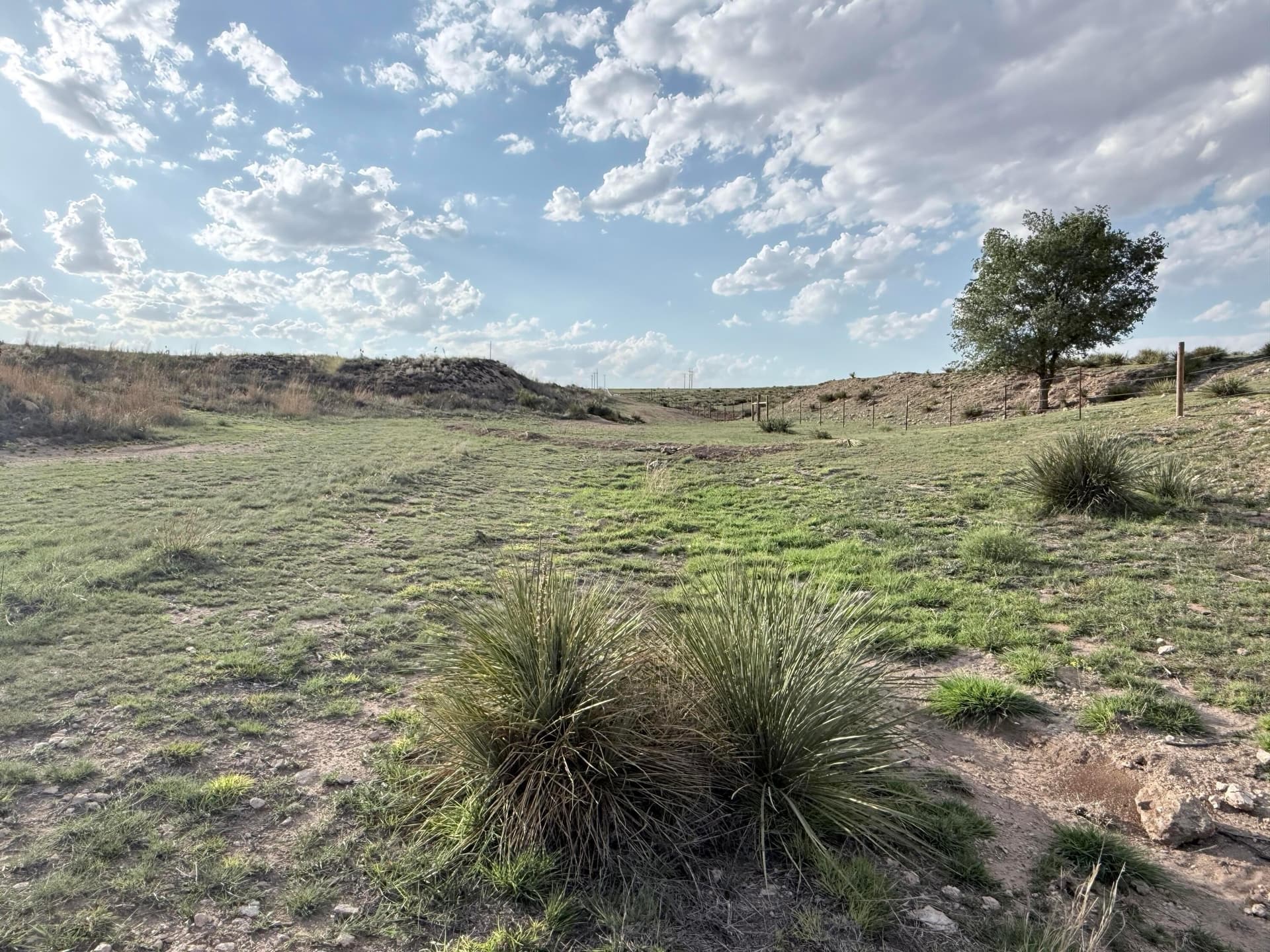 15.41 acres in Moore County gallery image 4