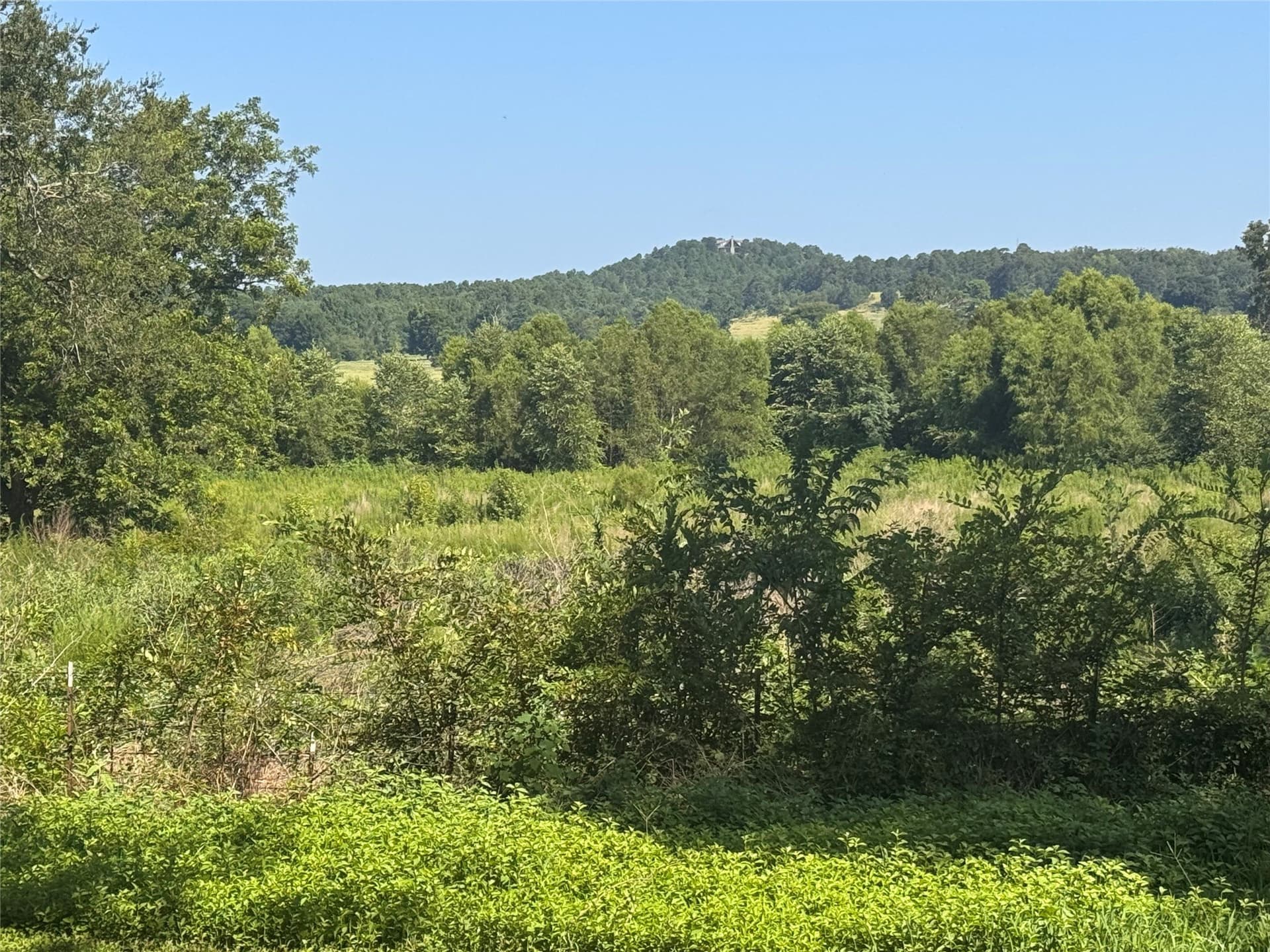 14.92 acres in Upshur County - photo 23