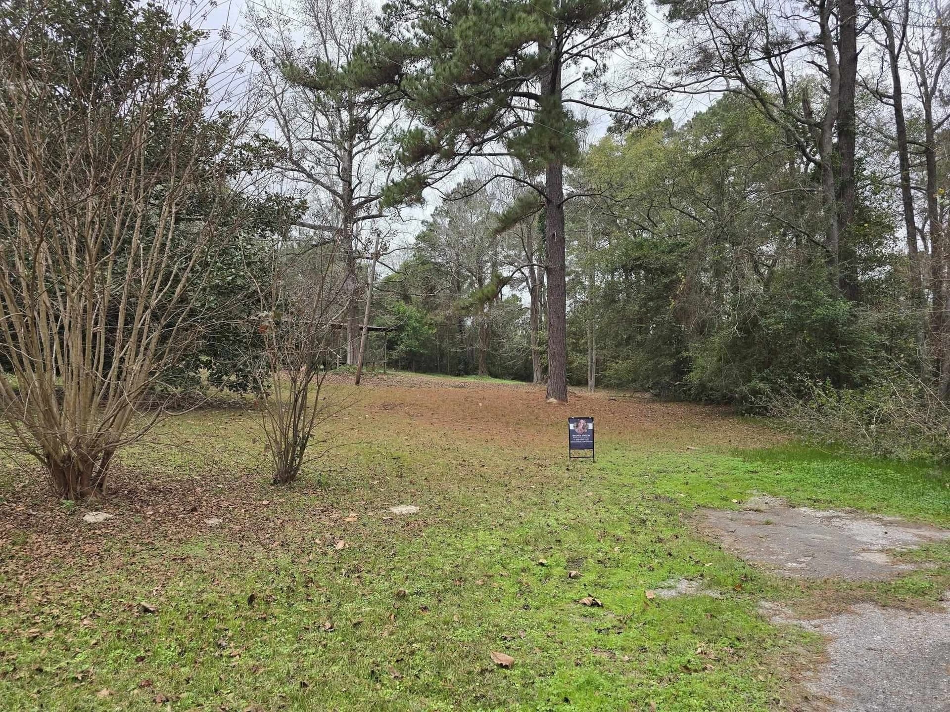 1 acres in Jasper County gallery image 4