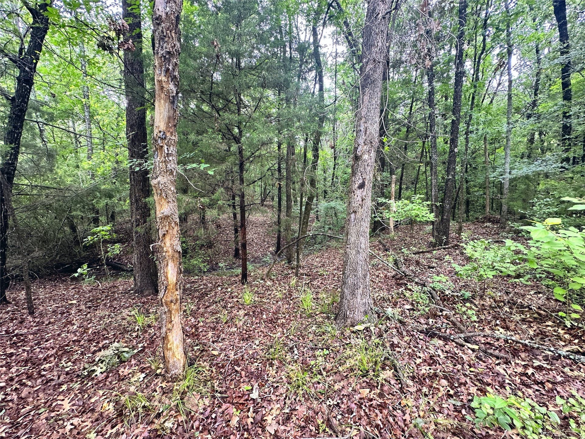 2.03 acres in Navarro County - photo 35