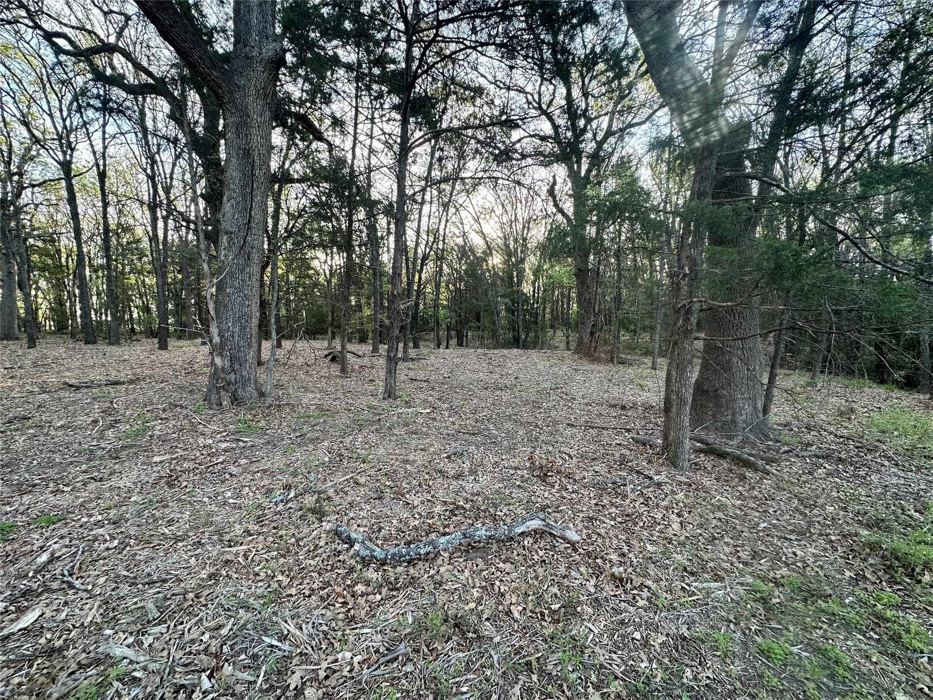2.03 acres in Navarro County - photo 20