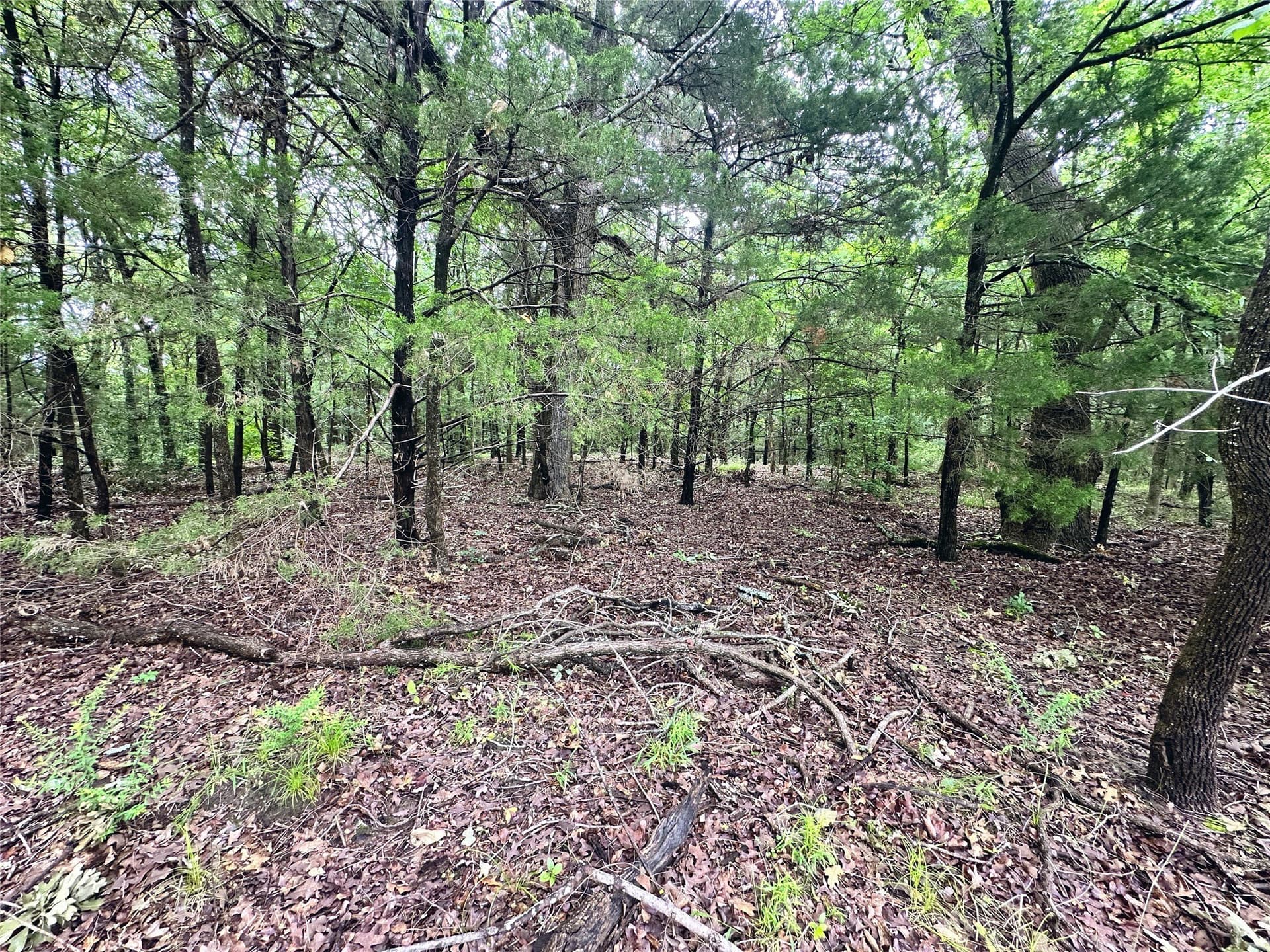 2.03 acres in Navarro County - photo 16