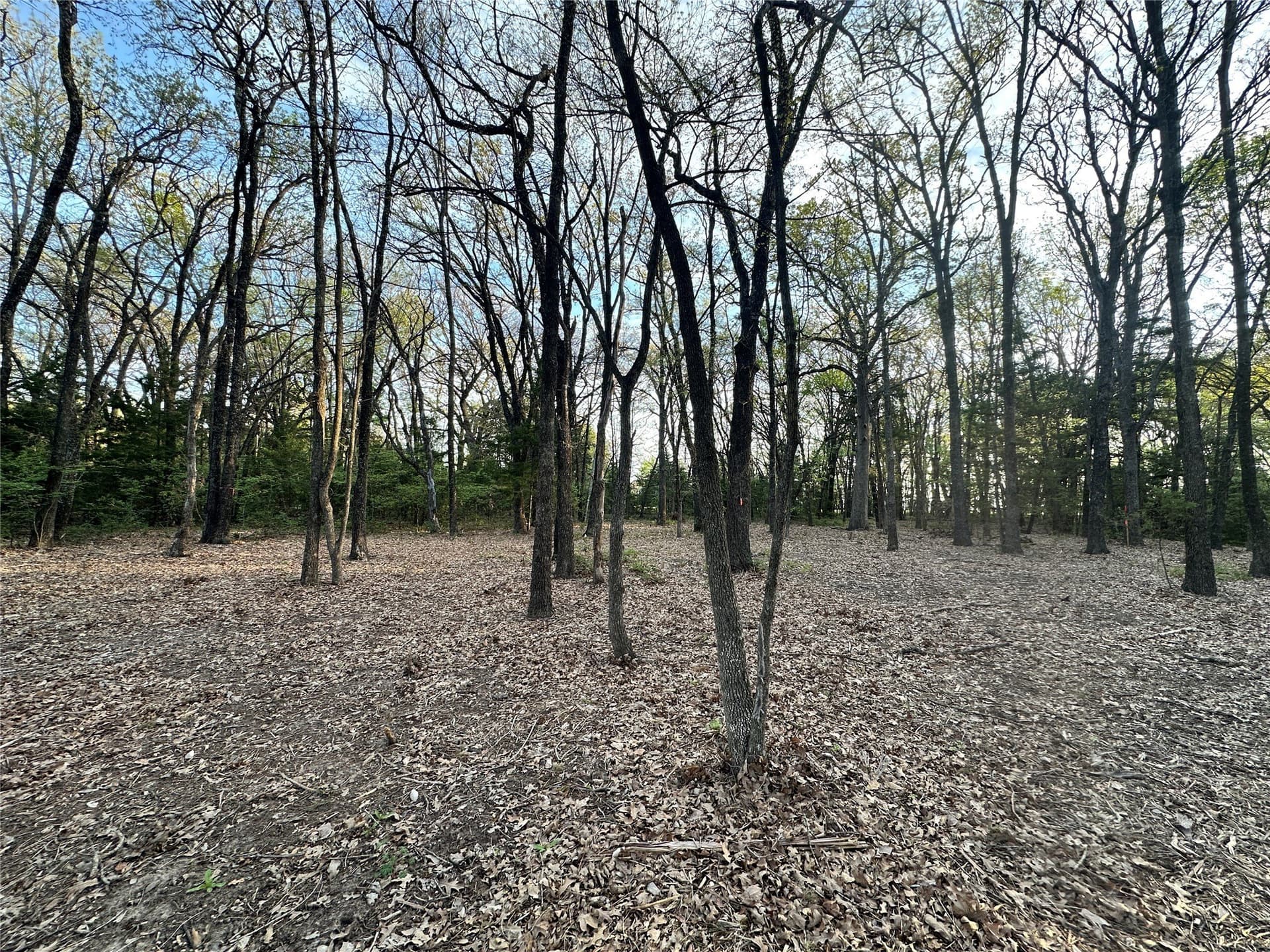2.03 acres in Navarro County - photo 24