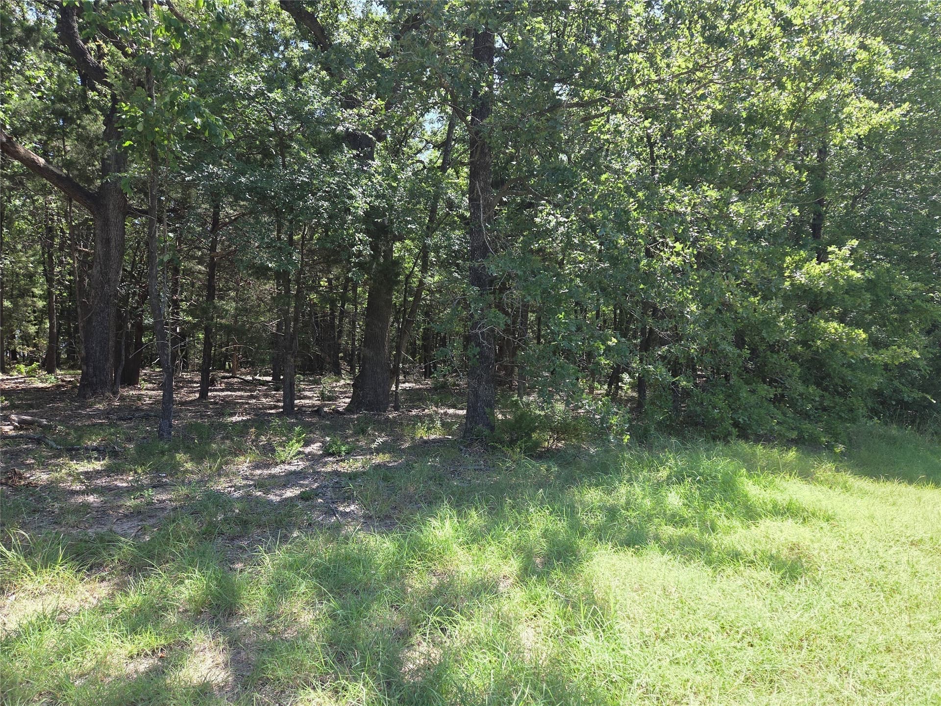 2.03 acres in Navarro County - photo 37