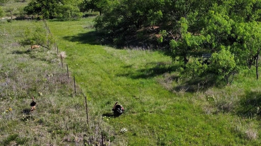 310.19 acres in Coleman County gallery image 3