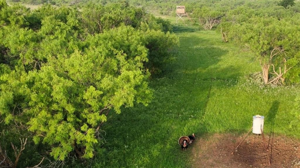 310.19 acres in Coleman County