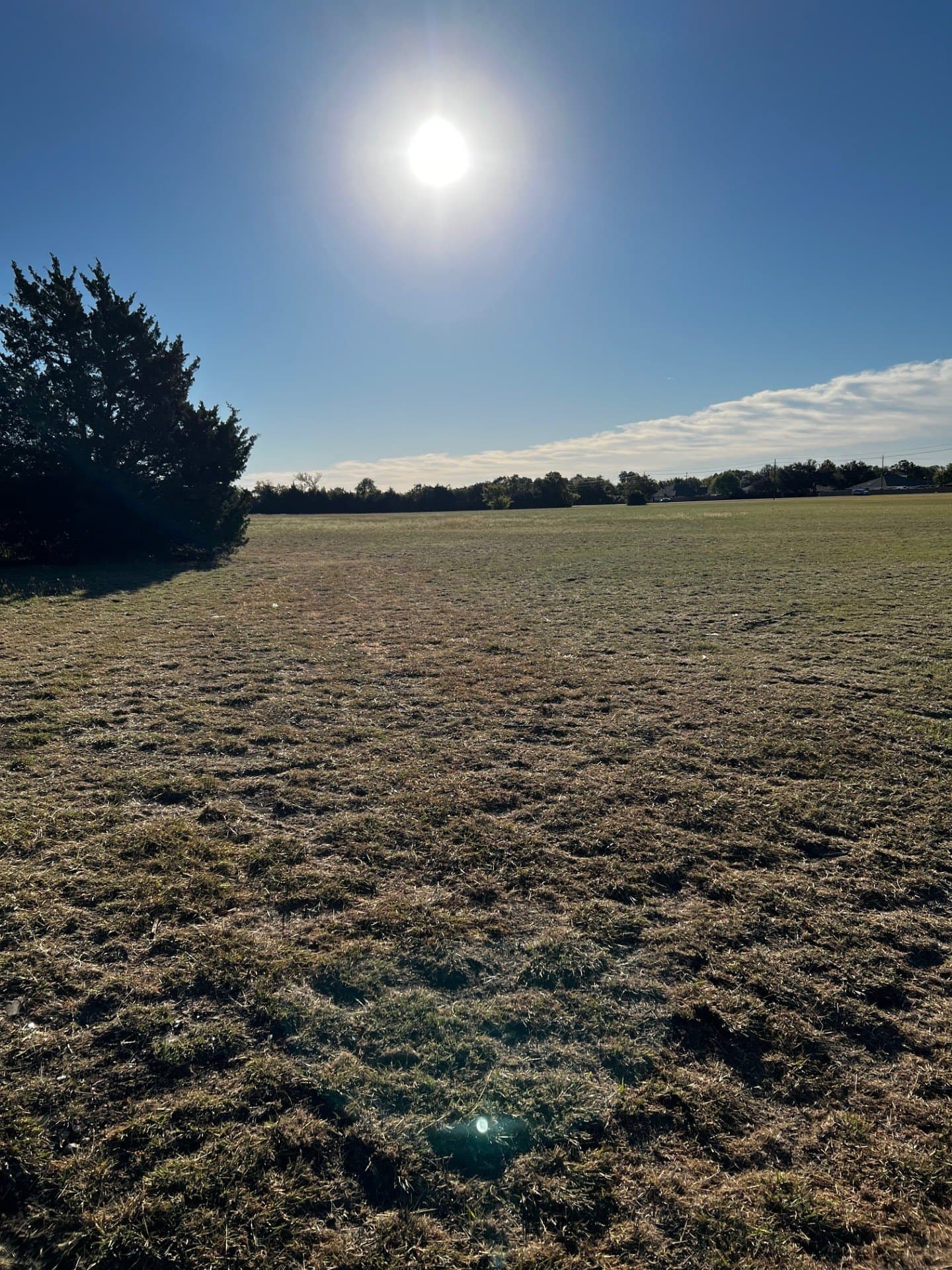 9.52 acres in Dallas County - photo 4