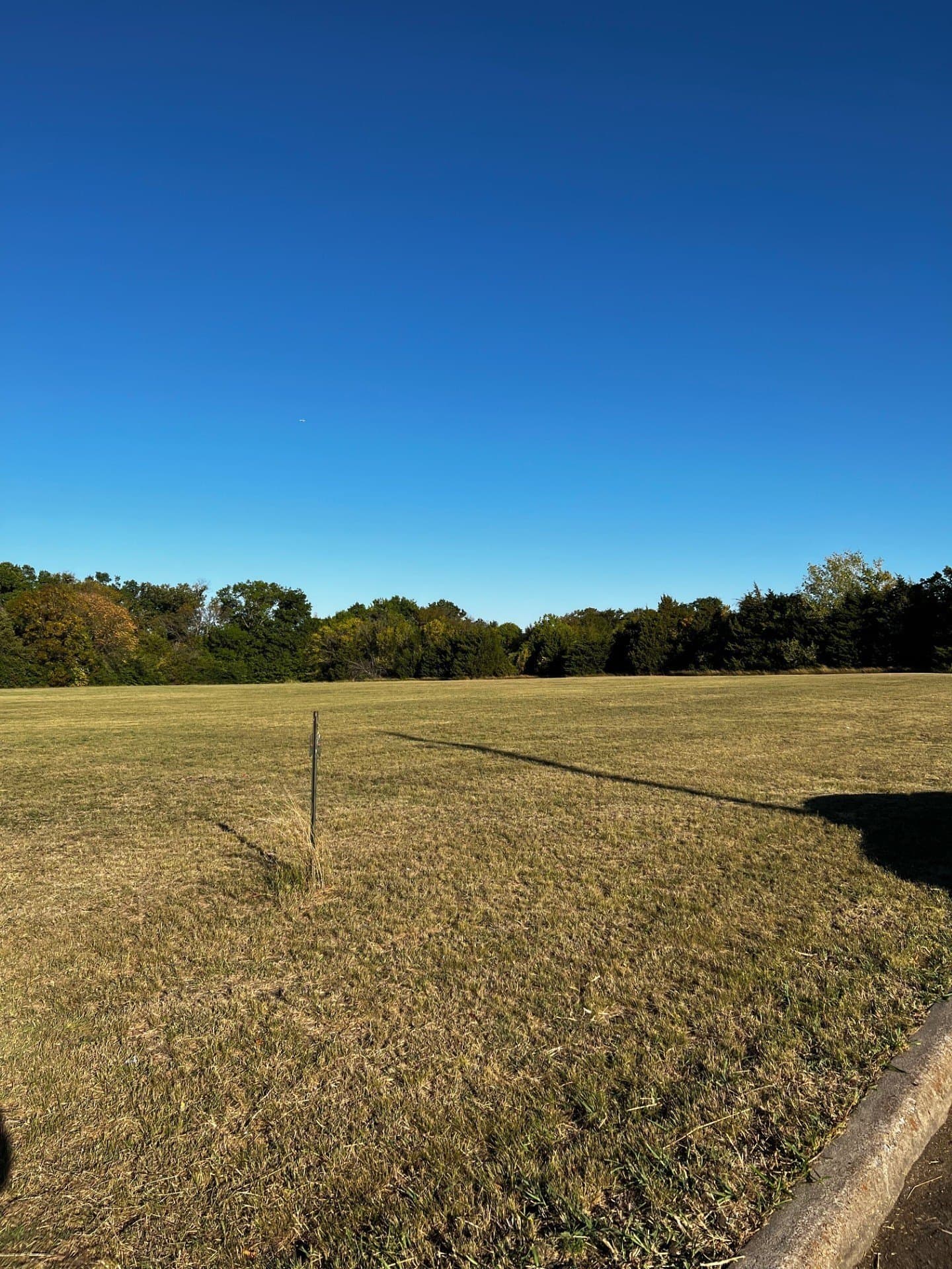 9.52 acres in Dallas County - photo 3
