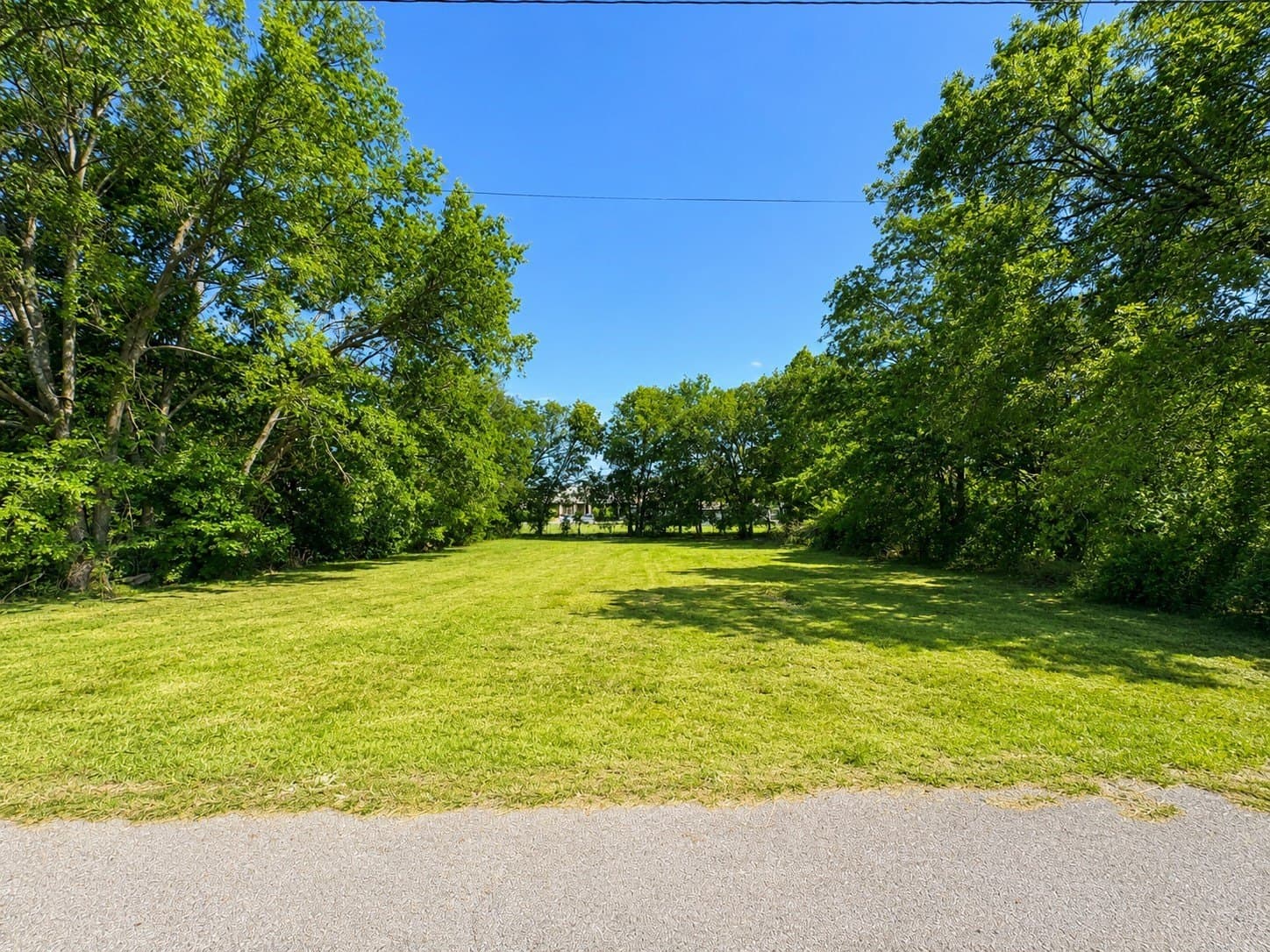 0.26 acres in Fannin County gallery image 2