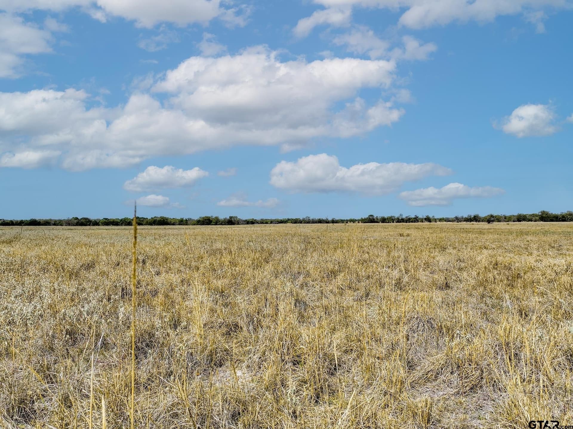 112.08 acres in Hopkins County - photo 19