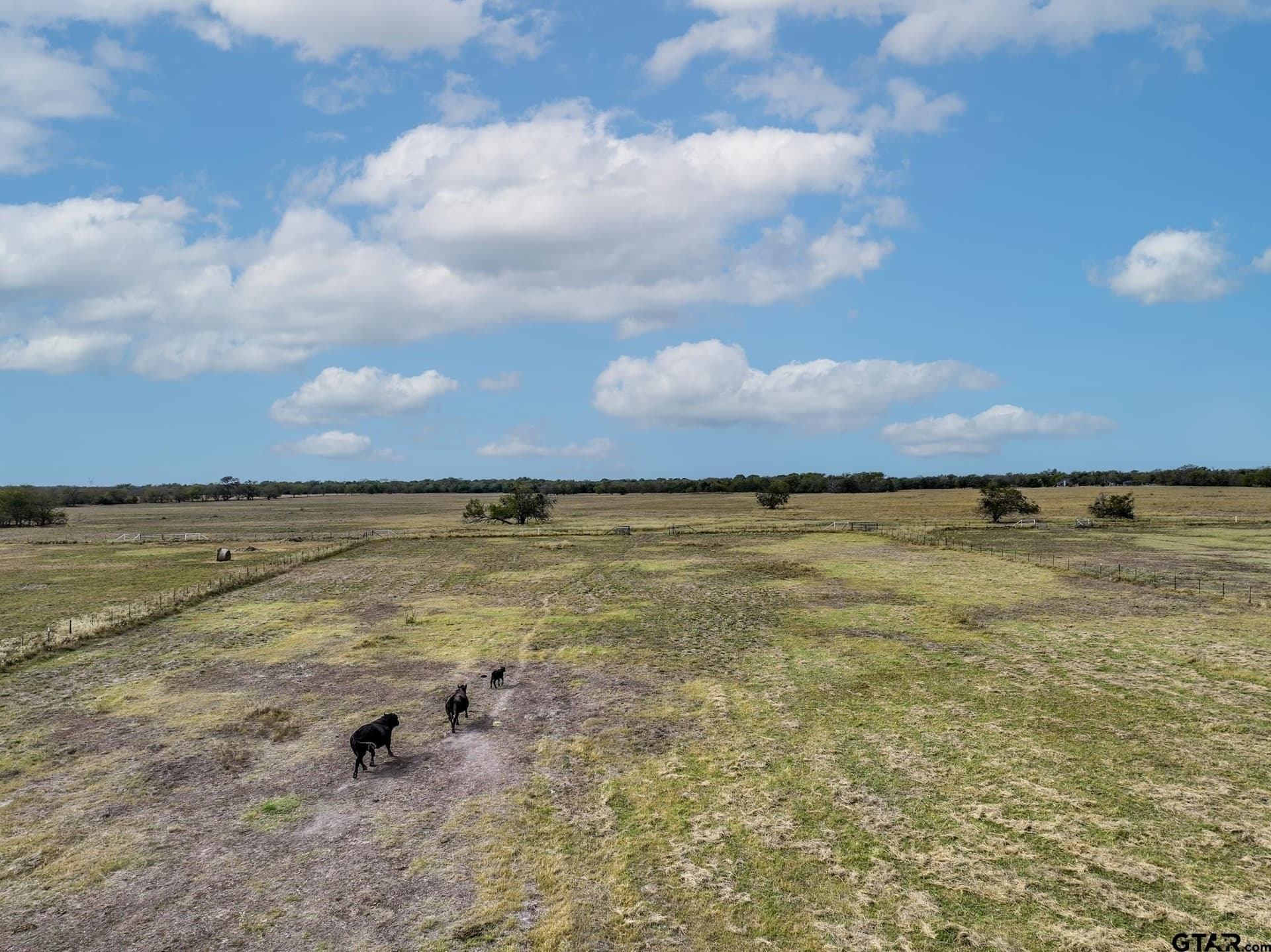 112.08 acres in Hopkins County - photo 39
