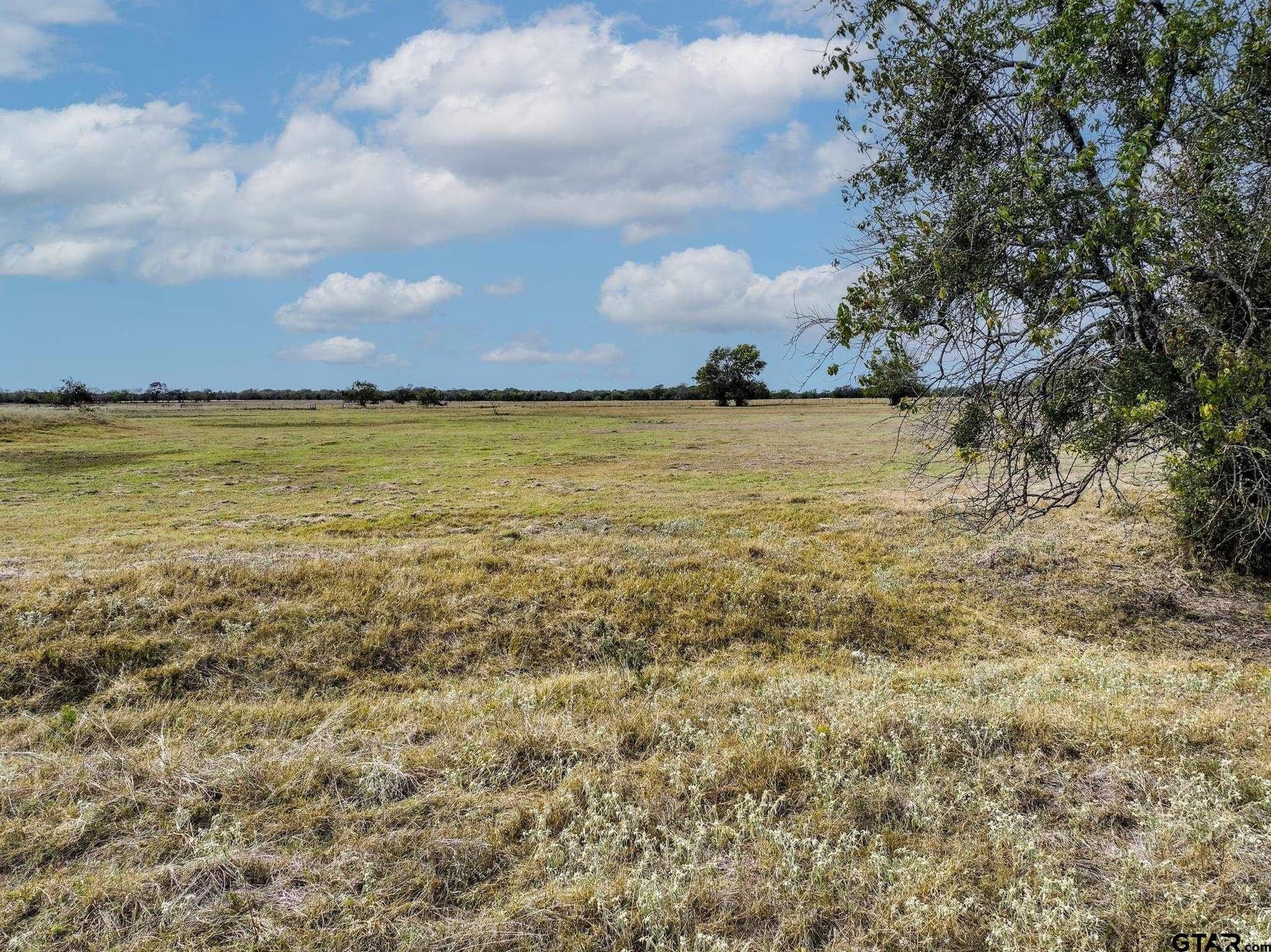 112.08 acres in Hopkins County - photo 31