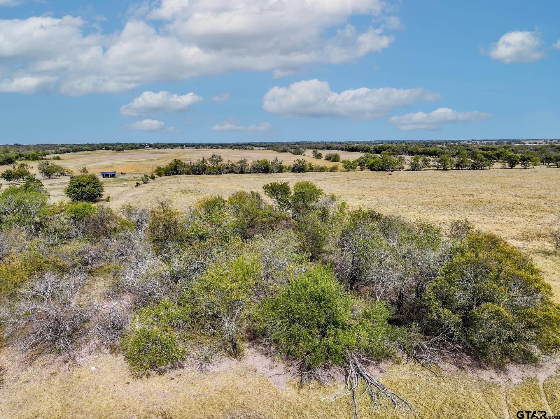 112.08 acres in Hopkins County - photo 22