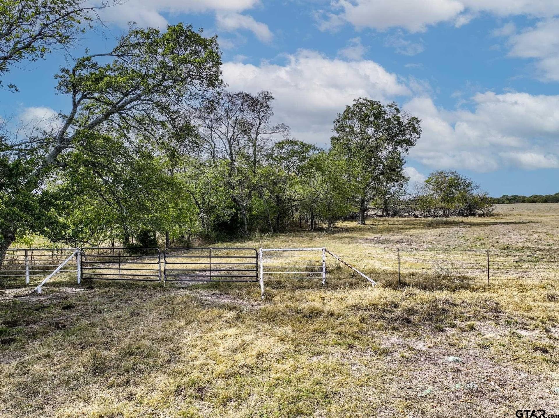 112.08 acres in Hopkins County - photo 16