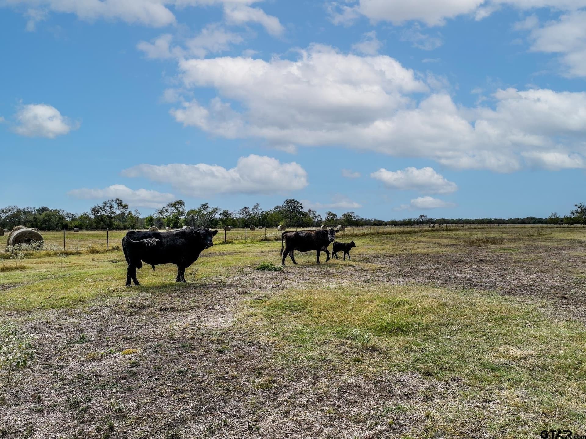 112.08 acres in Hopkins County - photo 37