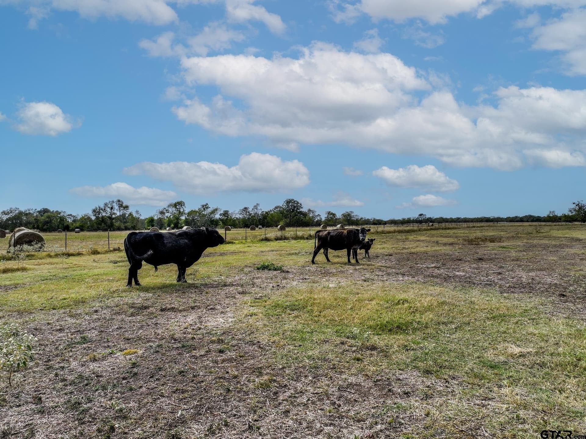 112.08 acres in Hopkins County - photo 38