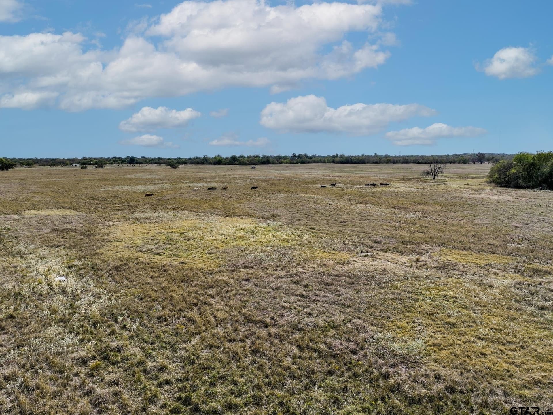 112.08 acres in Hopkins County - photo 25