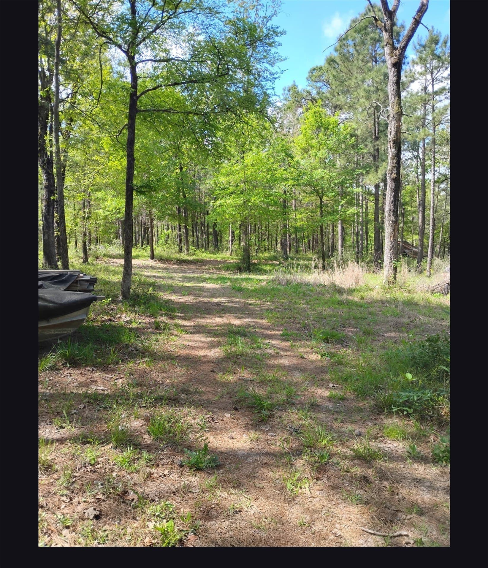 7.01 acres in Walker County