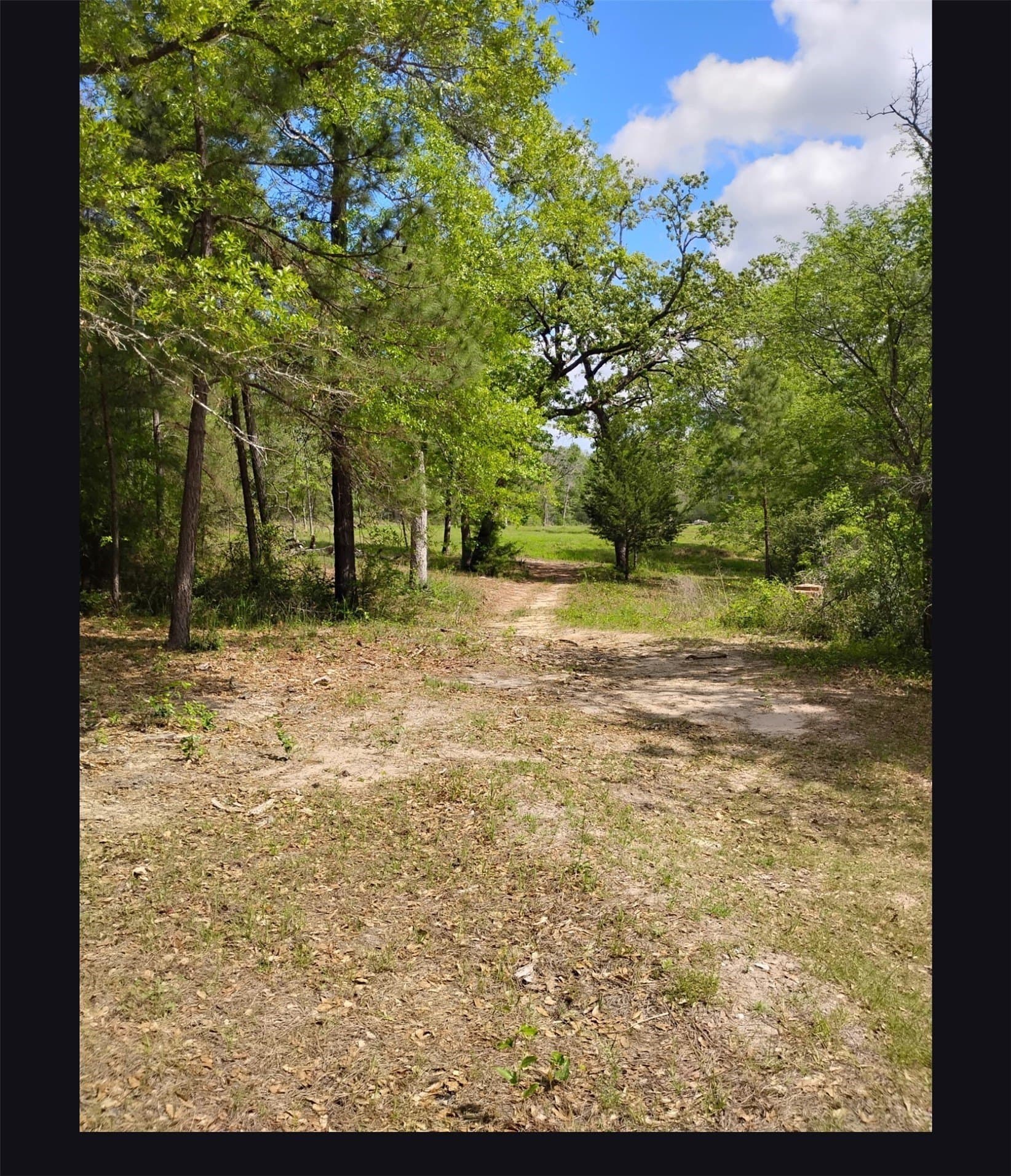 7.01 acres in Walker County - photo 3