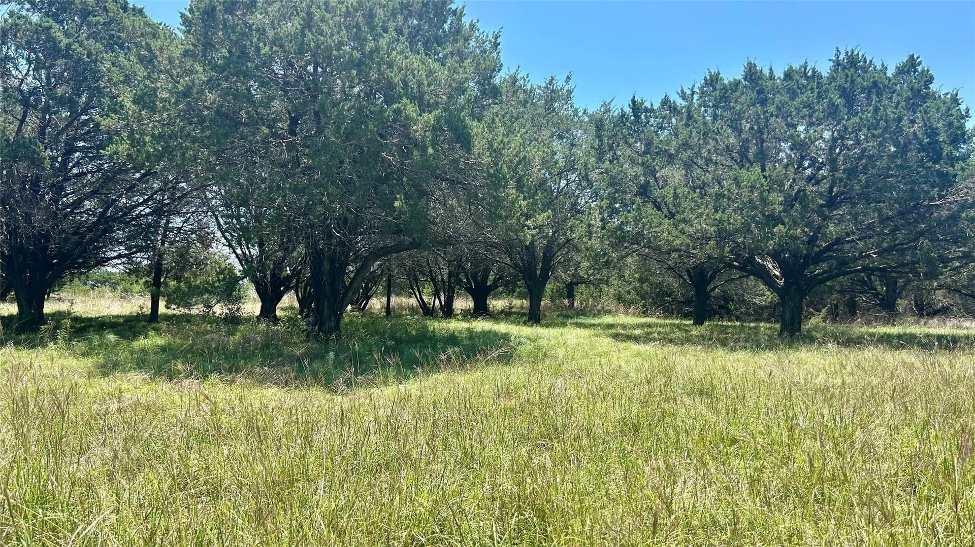 5.37 acres in Coryell County - photo 8