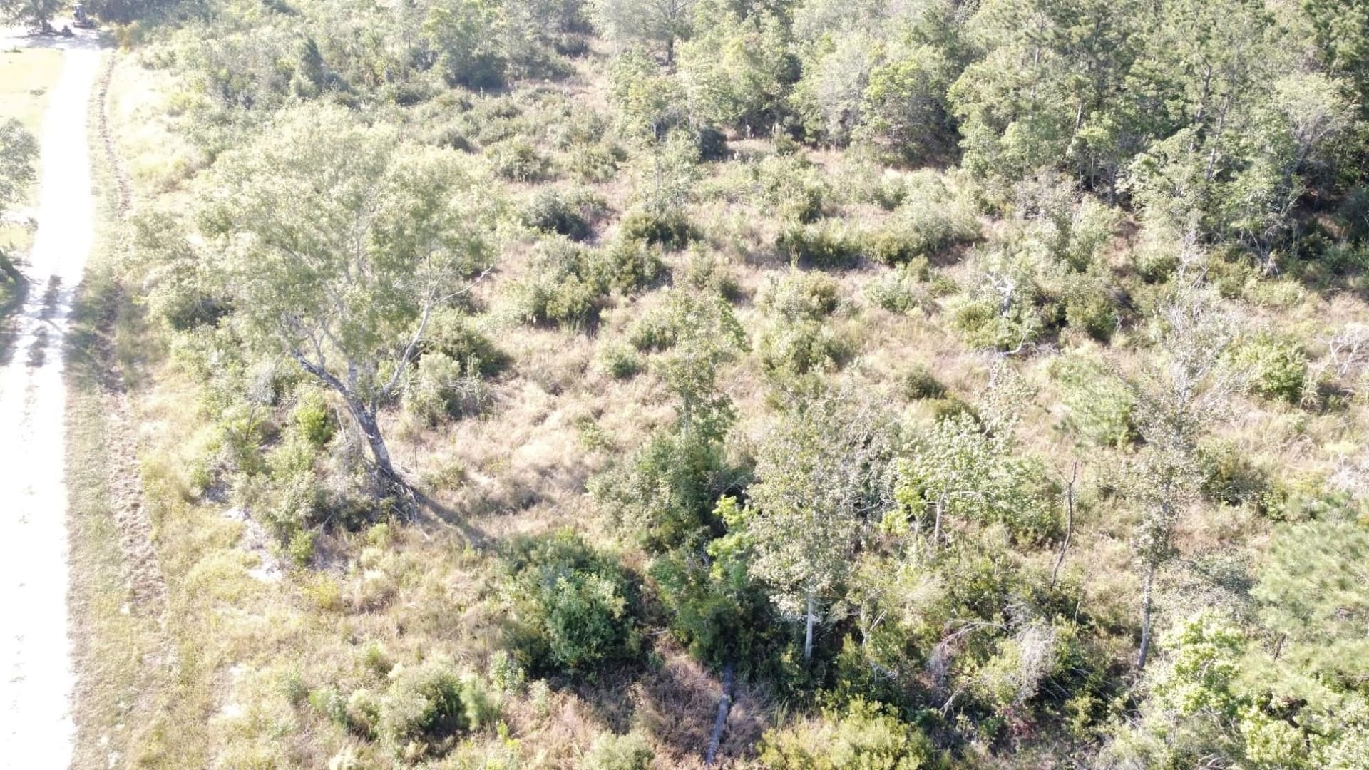 30 acres in Texas County gallery image 2