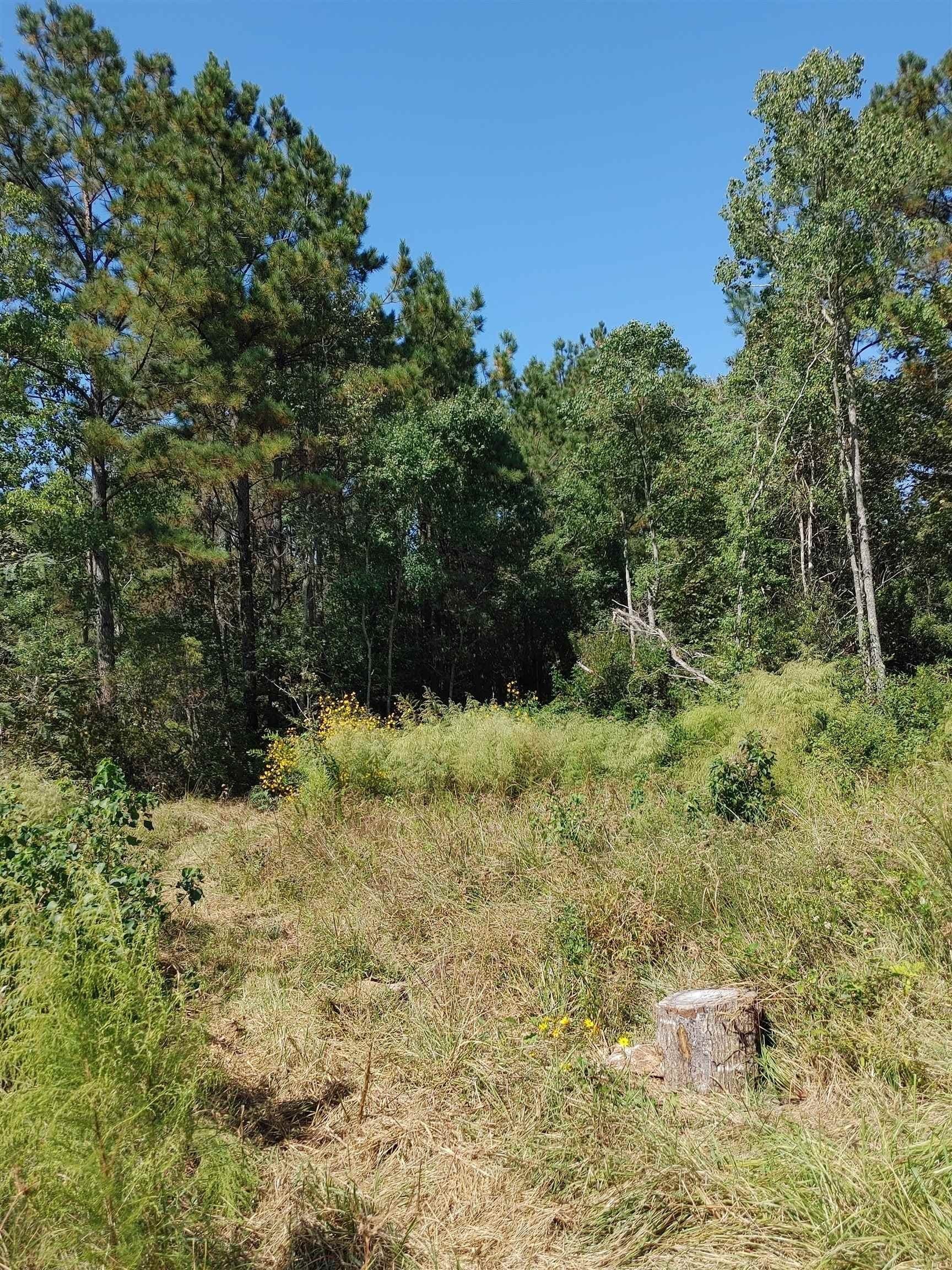 30 acres in Texas County - photo 6