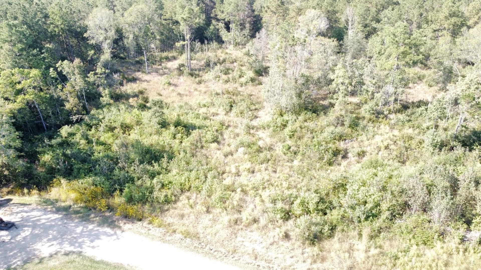 30 acres in Texas County gallery image 4