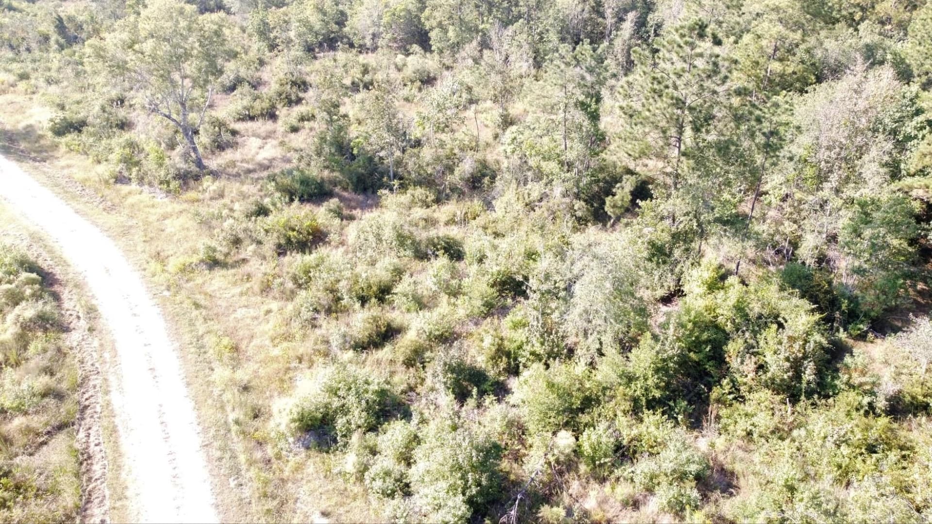 30 acres in Texas County gallery image 3