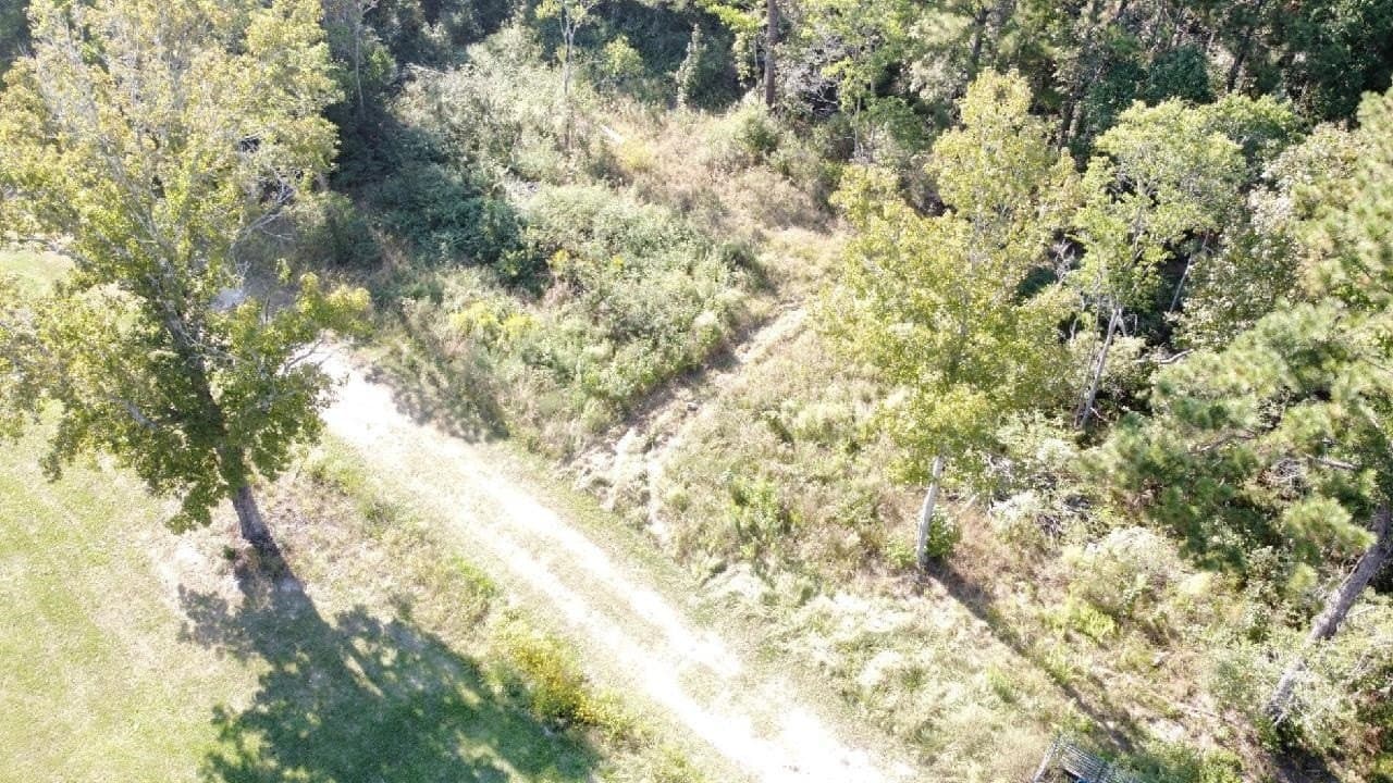 30 acres in Texas County featured view